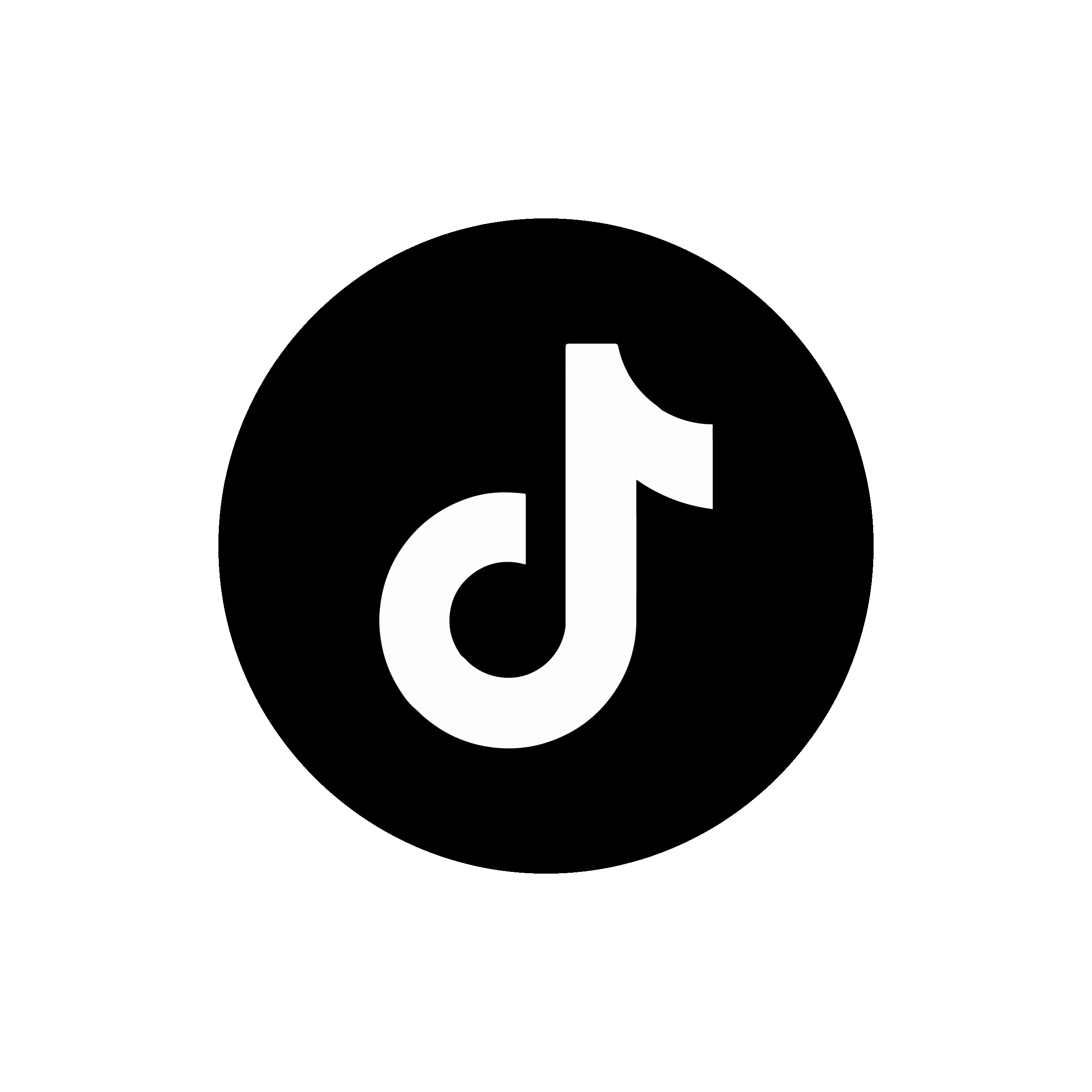 TikTok Icon